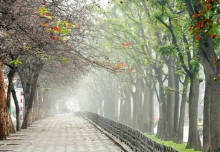 Đêm mai miền Bắc trở rét, mưa giảm nhiều