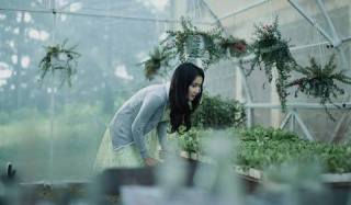 Bất ngờ nào sẽ đến với Cánh Diều Vàng 2014?