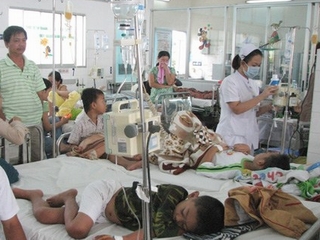 Bệnh sốt xuất huyết và tay chân miệng đang tăng mạnh