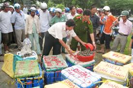 Truy tố những vi phạm nghiêm trọng về an toàn thực phẩm