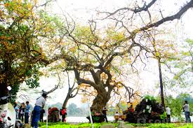 Bắc Bộ hửng nắng suốt tuần, nhiệt độ tăng mạnh