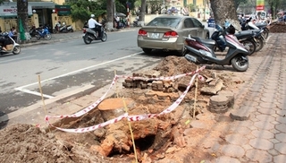 Trưởng ban Pháp chế HĐND Hà Nội: Hội đồng nhân dân chỉ đồng ý chủ trương thay thế cây xanh