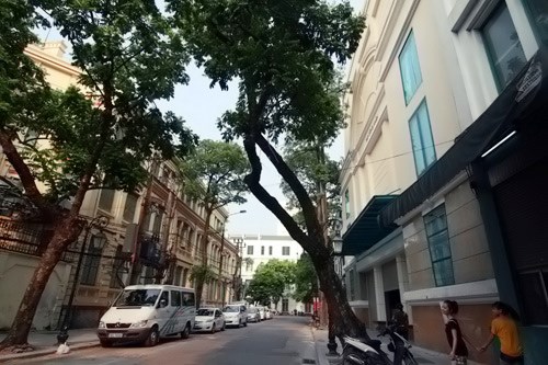 Dự án đất vàng 9 Đinh Lễ được chào bán 70 tỷ đồng