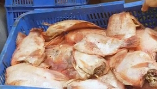 Cung cấp thực phẩm &quot;bẩn&quot;, công ty Phú Nhật Hào bị xử nghiêm