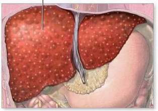 Thời gian vàng tiêm vắc xin viêm gan B cho trẻ