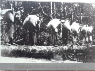  Bảo tàng Đường Hồ Chí Minh, lưu kỳ tích Bộ đội Trường Sơn