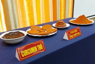 Chiết xuất thành công Nano curcumin 95% tinh khiết từ củ nghệ vàng