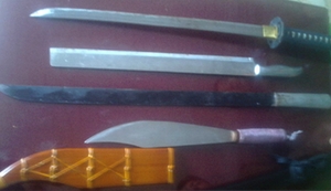 Mang súng đến nhà bắn trọng thương hai anh em ruột