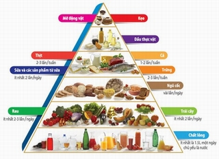Thiếu vi chất dinh dưỡng dễ mắc bệnh nguy hiểm