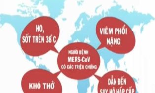 Ưu tiên công tác truyền thông trong phòng, chống MERS