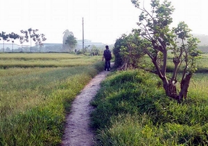 Nam thanh niên tự sát vì người yêu bỏ về quê
