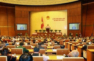 &quot;Nhiều đại biểu tính chuyên nghiệp chưa cao&quot;