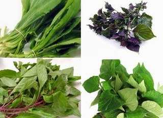 Công dụng tuyệt vời của các loại rau thơm