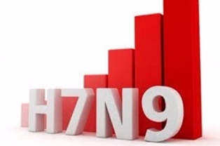 WHO: Khuyến cáo phòng chống dịch cúm A(H7N9)