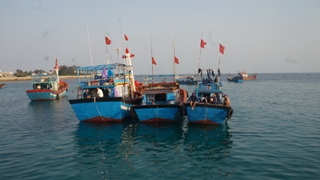 Cử tri Hà Nội đề xuất thành lập Bộ Hải sản