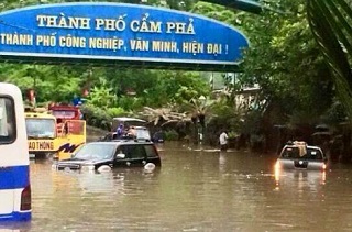 Sửa miễn phí sản phẩm LG cho người dân vùng bão lũ
