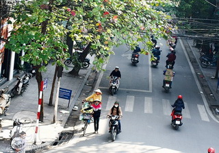 El Nino mạnh kỷ lục, mùa đông năm nay ít rét
