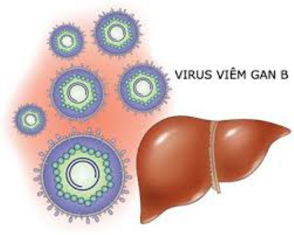 Tỷ lệ mắc bệnh viêm gan B đang cao