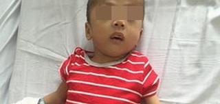 Bé 5 tuổi bị chó cắn đứt &quot;của quý&quot;