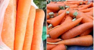 Mẹo đơn giản nhận biết rau củ quả Trung Quốc