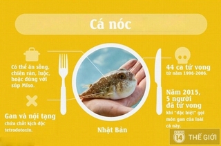 16 món ăn nguy hiểm bạn cần tránh xa