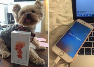 Người đầu tiên trên thế giới sở hữu iPhone 6s