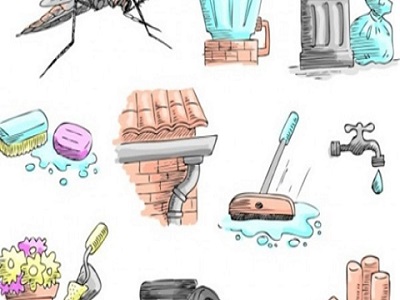 Muỗi sốt xuất huyết sinh sản ở những nơi không ngờ