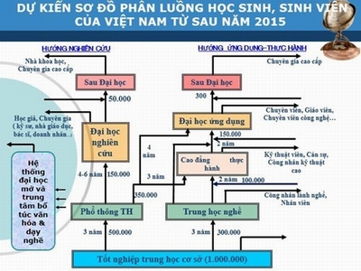 Nhiều hiệp hội cùng kiến nghị về cơ cấu hệ thống giáo dục