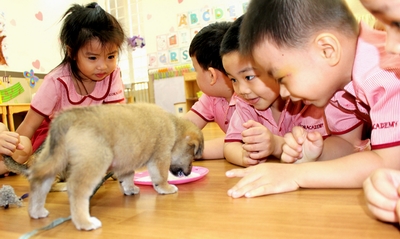 &quot;Giai đoạn vàng&quot; phát triển con người đang bị coi nhẹ