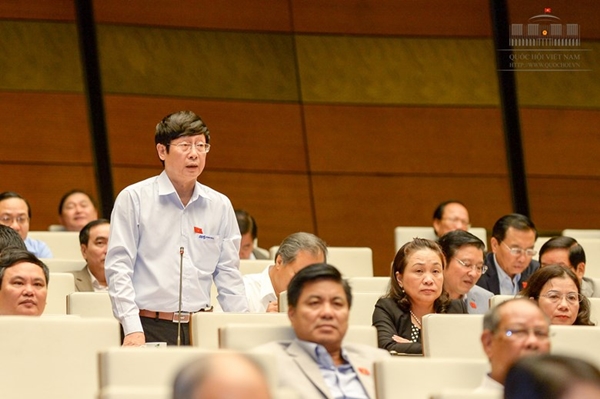Đại biểu Đỗ Mạnh Hùng