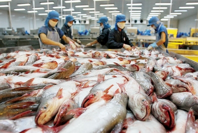 Việt Nam rất thất vọng về hành động của Mỹ