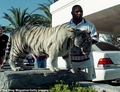 Mayweather chơi ngông nuôi hổ dữ trong nhà!
