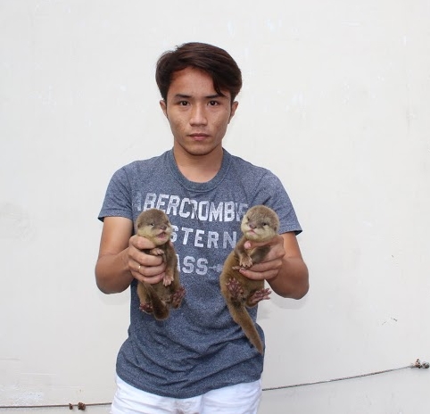 động vật hoang dã