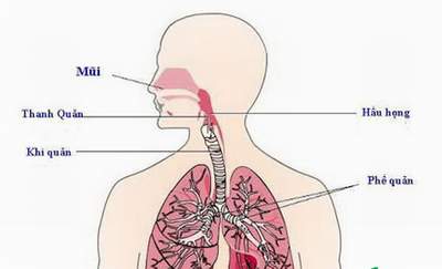 5 sự thật cần biết trong cách chữa viêm họng