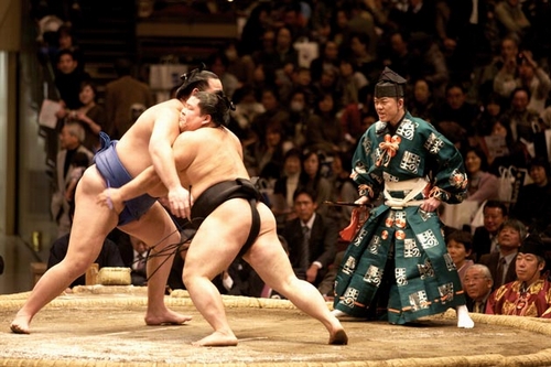 Võ Sumo 