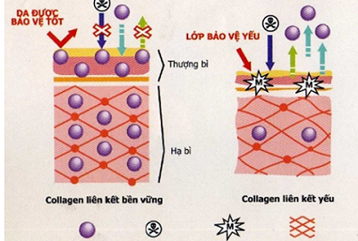Những điều nên biết về cách chăm sóc da mùa đông