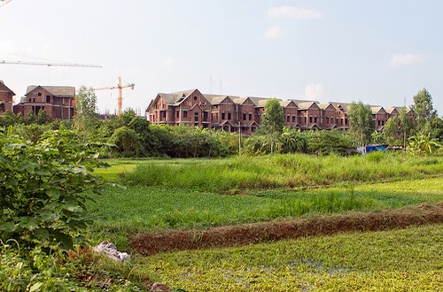 Đề xuất giảm phí với đất nông nghiệp chuyển đổi