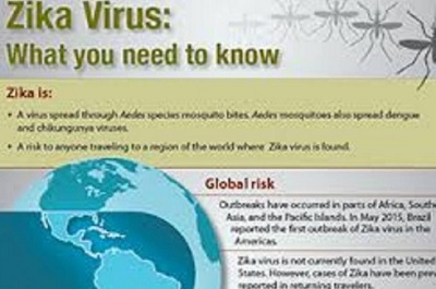 Vi rút ZIKA xâm nhập vào Việt Nam là hoàn toàn có thể
