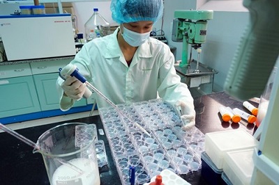 10 sự kiện nổi bật của ngành Y tế năm 2015