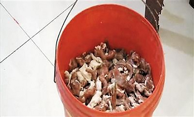 Kinh hoàng thịt lợn phát sáng trong đêm