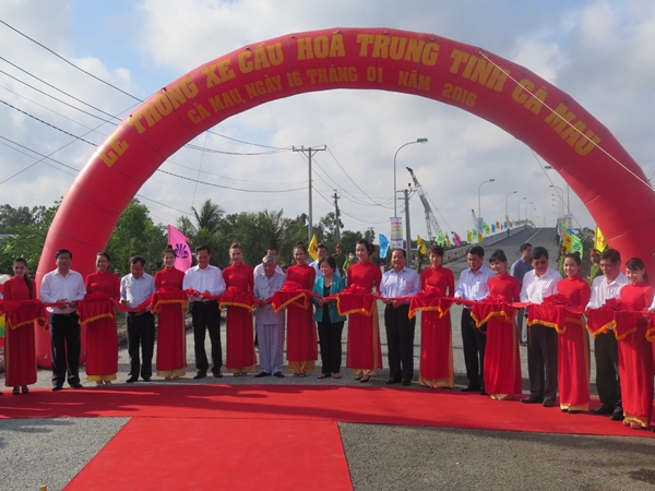 Thông cầu