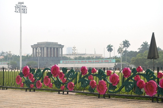 hoa giả