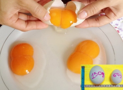 Trứng hai lòng đỏ có thực sự bổ?