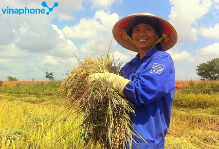 Loạt tiện ích hấp dẫn của dịch vụ Nông Thôn Xanh
