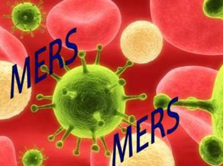Thái Lan vừa xuất hiện trường hợp nhiễm MERS-CoV (Ảnh minh họa)