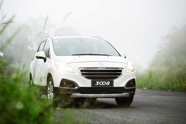 Peugeot 3008_2_resize.jpg