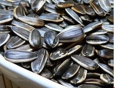 Những lưu ý khi mua hạt dưa, hạt hướng dương dịp tết