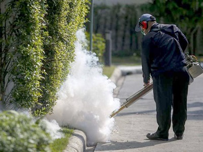 Thái Lan xác nhận ca mắc virus Zika trong nước đầu tiên