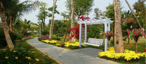 Từ mùng 2 Tết, du khách đã có thể mua vé tham quan đường hoa lớn nhất miền Bắc trải rộng trên diện tích 6ha