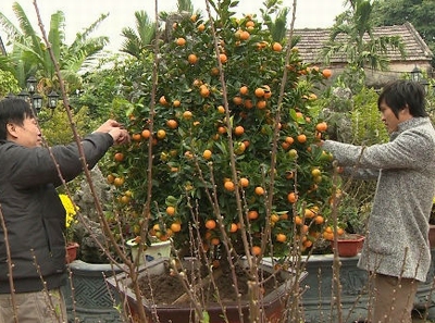 Tiền vệ Tuấn Anh cùng gia đình rộn ràng đón Tết
